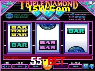 Sistemas de Segurança 55ubet